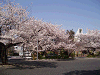 photo091_s.gif