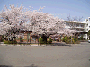 photo092_s.gif
