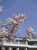 photo093_s.gif