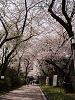 photo097_s.gif