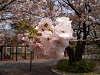 photo100_s.gif
