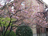 photo102_s.gif