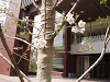 photo104_s.gif