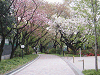 photo105_s.gif