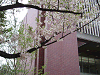 photo106_s.gif
