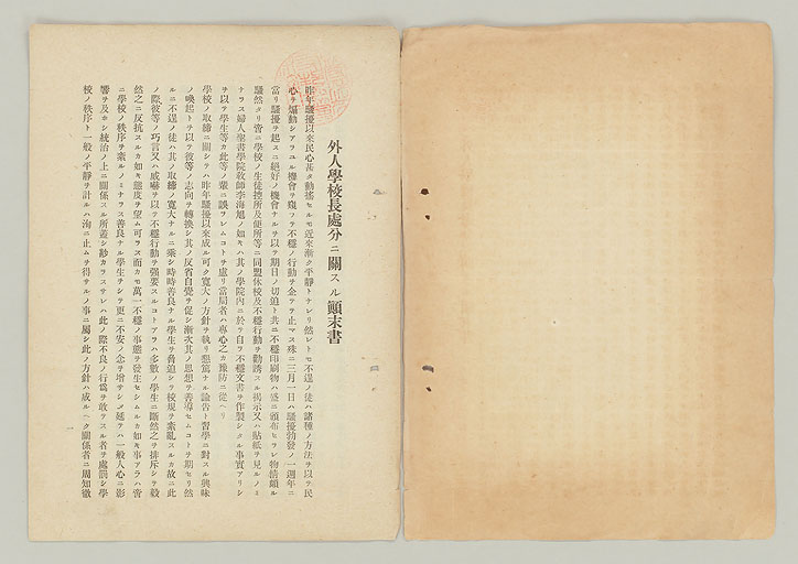 拡大画像へ