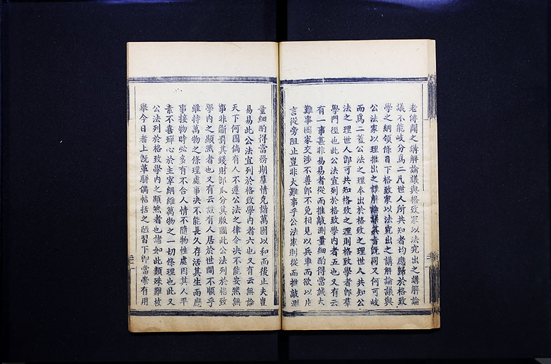拡大画像へ