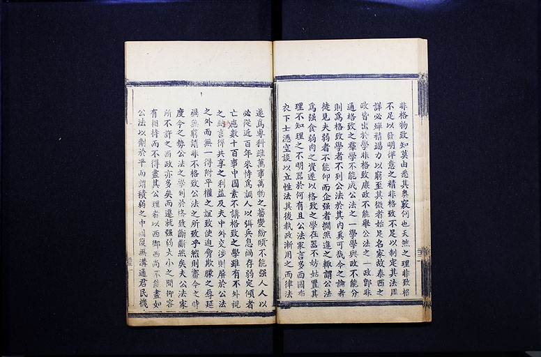 拡大画像へ