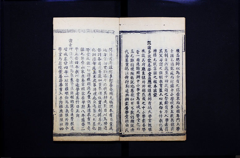 拡大画像へ